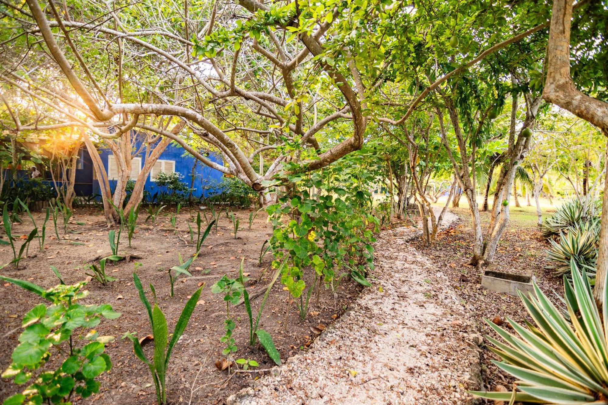 Hotel Playa Manglares Isla Baru Santa Ana  Extérieur photo